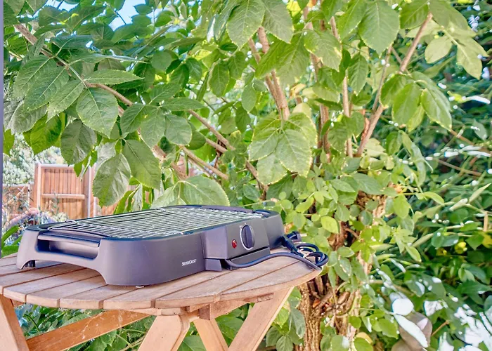 D'olympe Apartment Périgueux